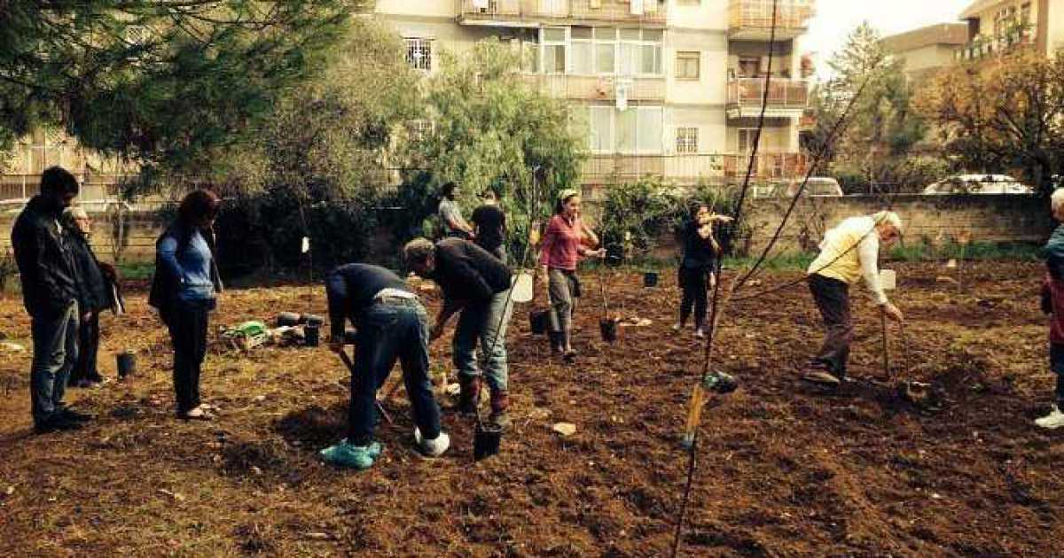 Bari, una piccola campagna tra i palazzi cittadini: � l'orto Effetto terra